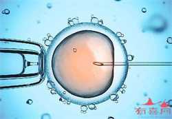 子宫切除了还会怀孕吗