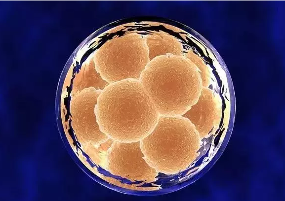 怀孕几天能测出来(怎么知道自己是否怀孕)