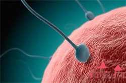 同房间隔多久怀孕几率高?男女生都该注意,不然白忙