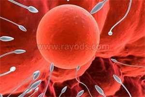 验孕棒检测怀孕准不准？