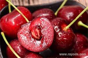 女人梦见鹰是暗示即将怀孕的胎梦吗?