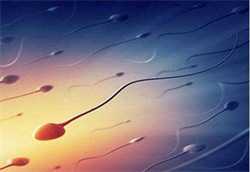 怀孕检查的血清是查什么