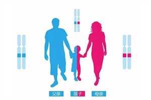 怀孕初期除了叶酸还吃什么