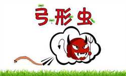 怀孕什么时候可以过性生活