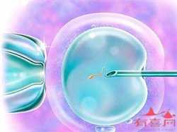 怀孕初期可以吃巧克力吗