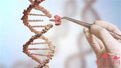 哺乳期怎么判断怀孕了?这四个哺乳期怀孕症状早期症状