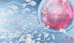 宫寒体寒怎么调理最有效(有宫寒排卵期容易怀孕吗)