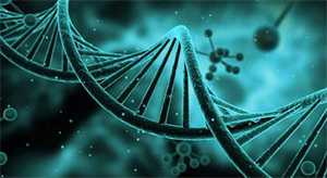 怀孕初期饮食孕妇宜吃的7种美食