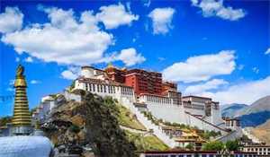 怀孕喝什么茶比较好