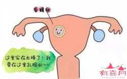 怀孕可不可以拔牙