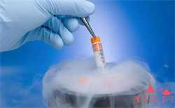 怀孕不到一个月胸部会胀痛吗