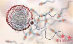 怀孕2周胎教重点