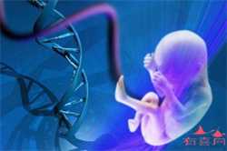 怀孕2个月b超可以查出什么？多久要做一次？