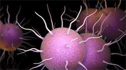 怀孕咽喉肿痛怎么办