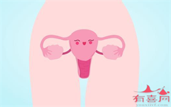 辽宁营口龙女士问:备孕如何尽快怀孕