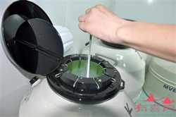 为什么怀孕不能养宠物