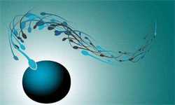 怀孕多久去医院建档案