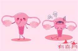 17个卵子想怀孕，卵泡多大成熟才排出你知道吗？