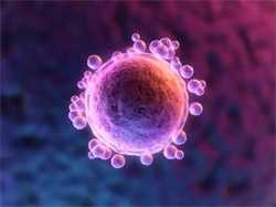 怀孕初期干重活会怎样