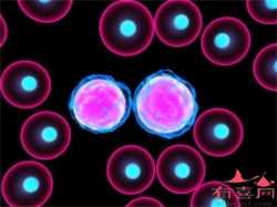 在西安怀孕整个孕期产检要多少钱