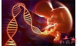 怀孕生产日期计算