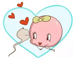 怀孕五个多月肚子胀怎么回事