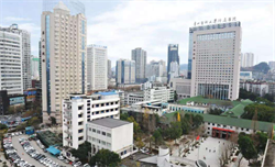 怎样让卵泡发育的最好保持这些生活习惯助你速速怀孕