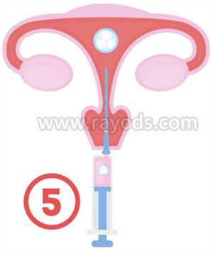 怀孕了感冒能吃药吗