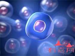 怀孕有痔疮肉球怎么消除