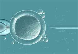 怀孕42天胸部那么胀痛，一般怀孕多久会胸疼