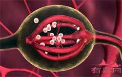 怀孕35天人绒毛膜促性腺激素正常值是多少