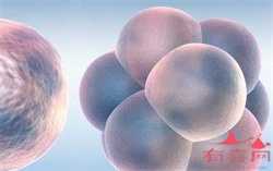 怀孕七个月了血压高怎么办?