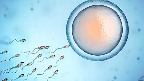 左侧输卵管增粗，影响怀孕吗