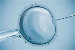 孕早期出血可以继续怀孕吗