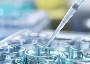 怀孕四个月肚子右上侧疼