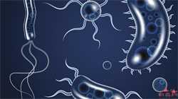 月经不调会对怀孕有影响吗？妇科专家告诉你