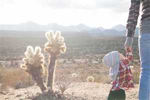 怀孕两个半月体温多少正常，不知道孕妇体温比正常人高吗?