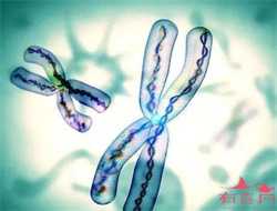 怀孕梦见自己生男孩代表着什么