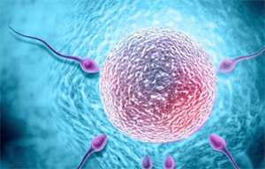 克安舒验孕棒的abc三个杠怎么看是显示怀孕了？