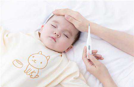 2023年最晚怀孕能生猪宝宝