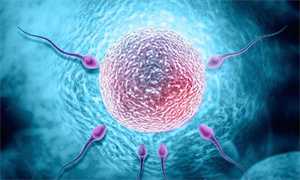 做试管婴儿想提高怀孕机会这些条件你要先具备