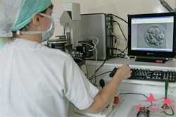 如果怀孕了验孕纸多久能测出来