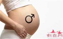 怀孕14周能看出男孩女孩吗