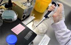 尿急姨妈推迟七天是怀孕了吗