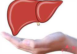 怀孕梦见吃鸡腿