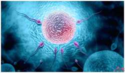 自己怀孕开刀流产