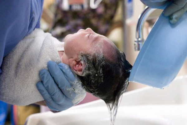 女人在怀孕期间梦见鹿是属于胎梦吗?