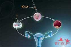 女性怀孕前三个月越来越懒是生男孩的征兆吗？