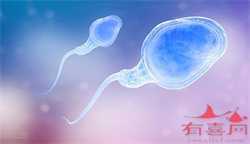 怀孕一到下午就恶心