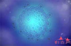 怀孕八个月缺铁严重吗